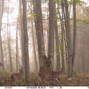 Meet your Posher, Mack